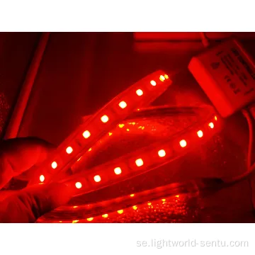 80LEDS/M LYGGANDE RGB LED -ljusremsa